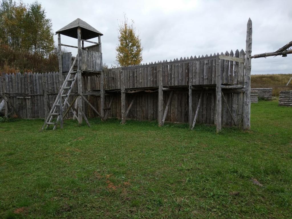 photo6