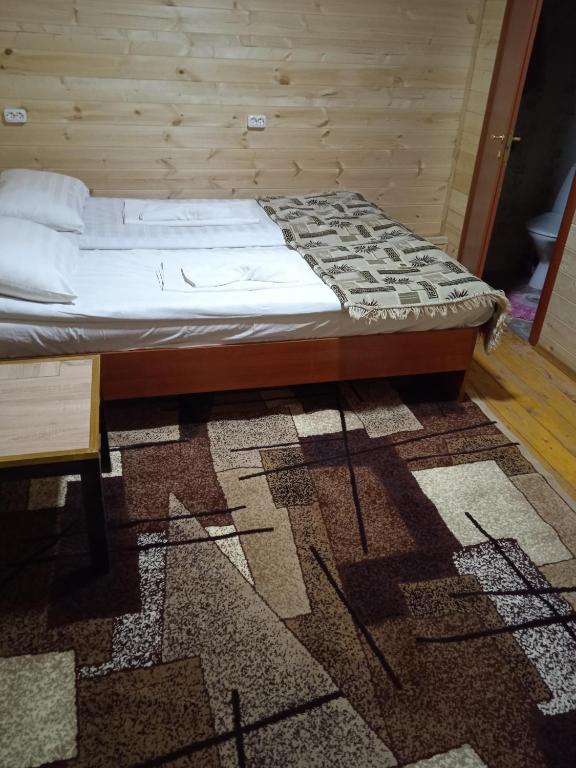 photo6