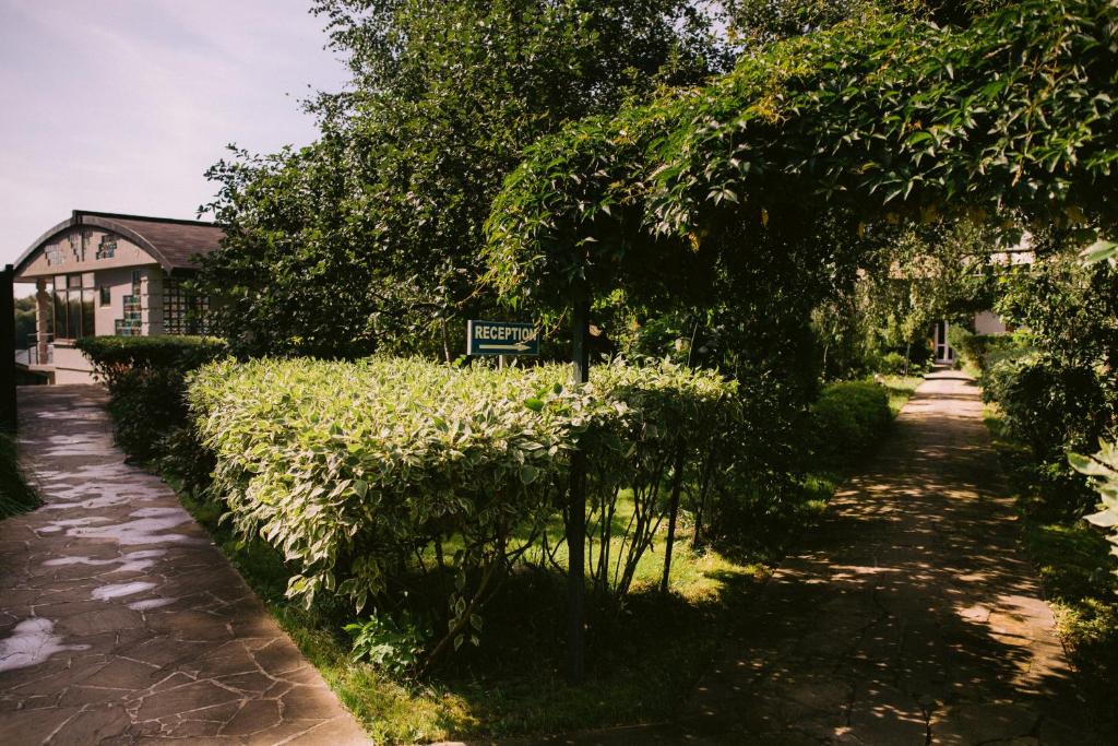 photo6