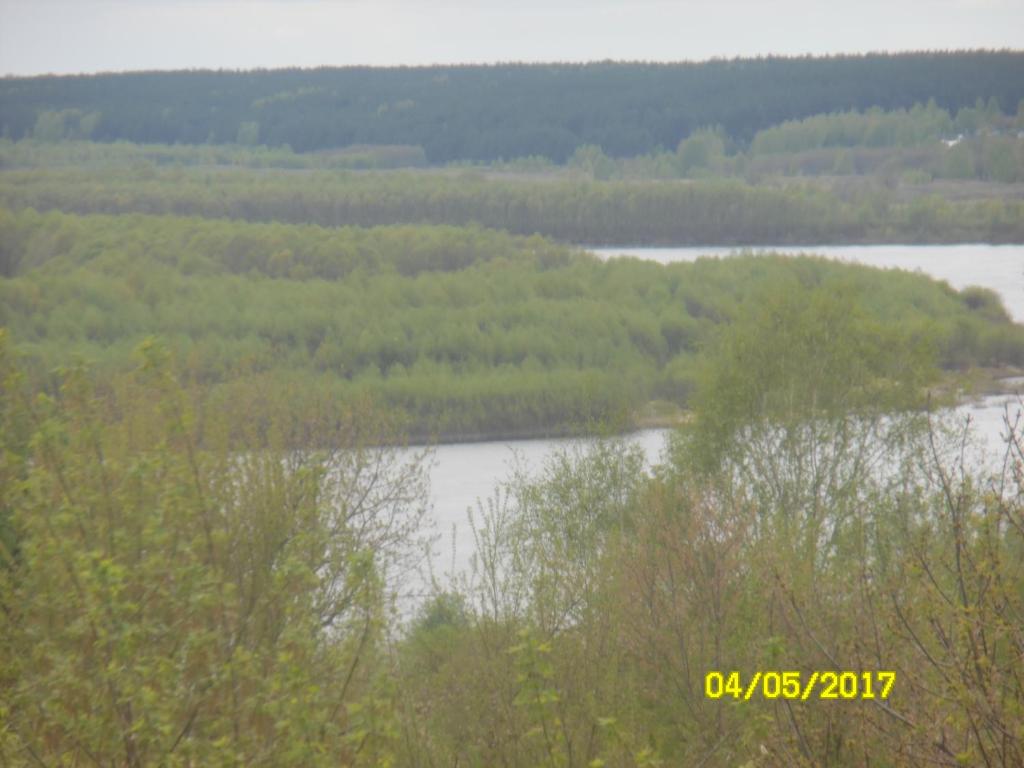 photo2