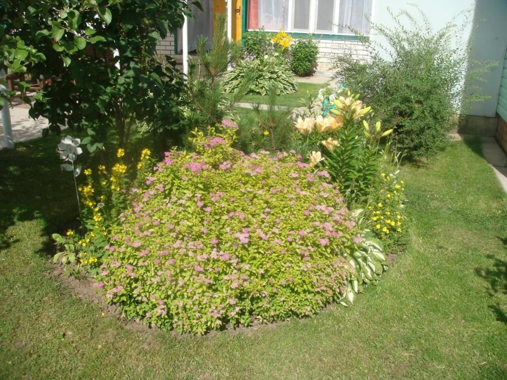 photo3