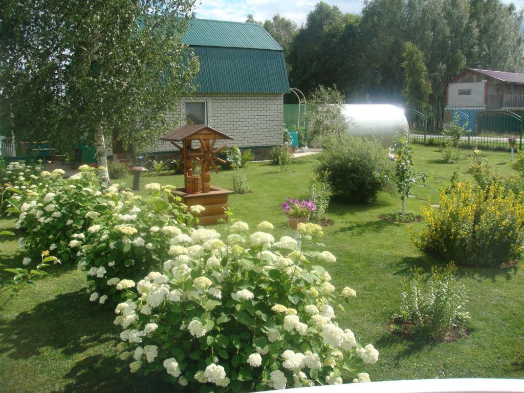 photo6