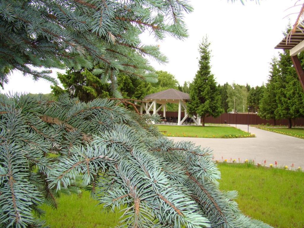 photo1