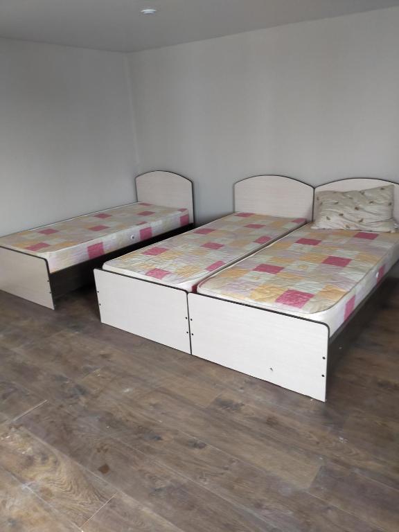 photo6
