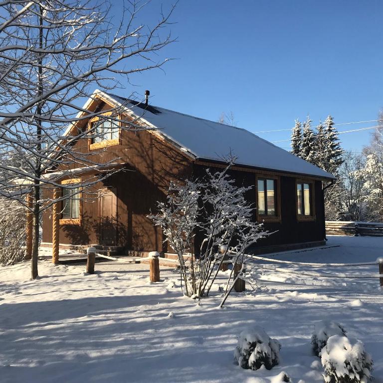 photo6