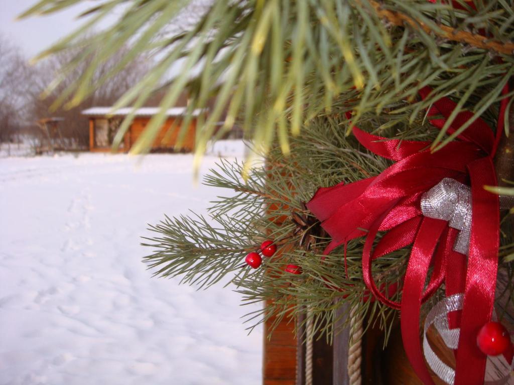photo6