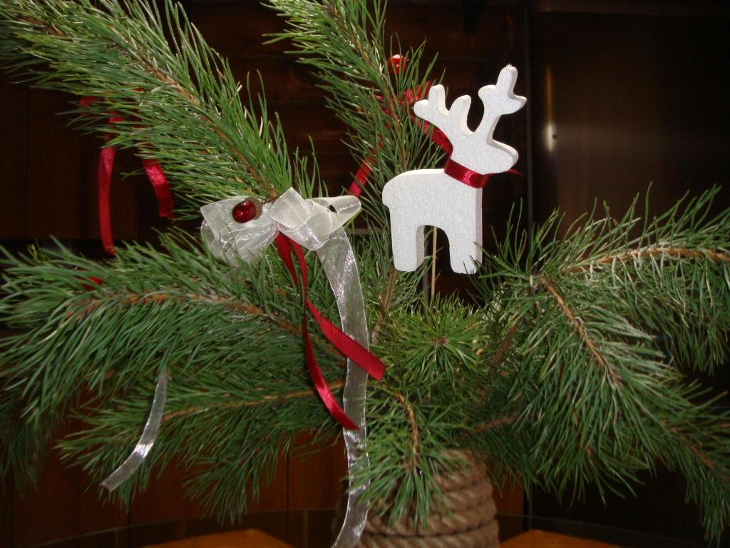 photo6