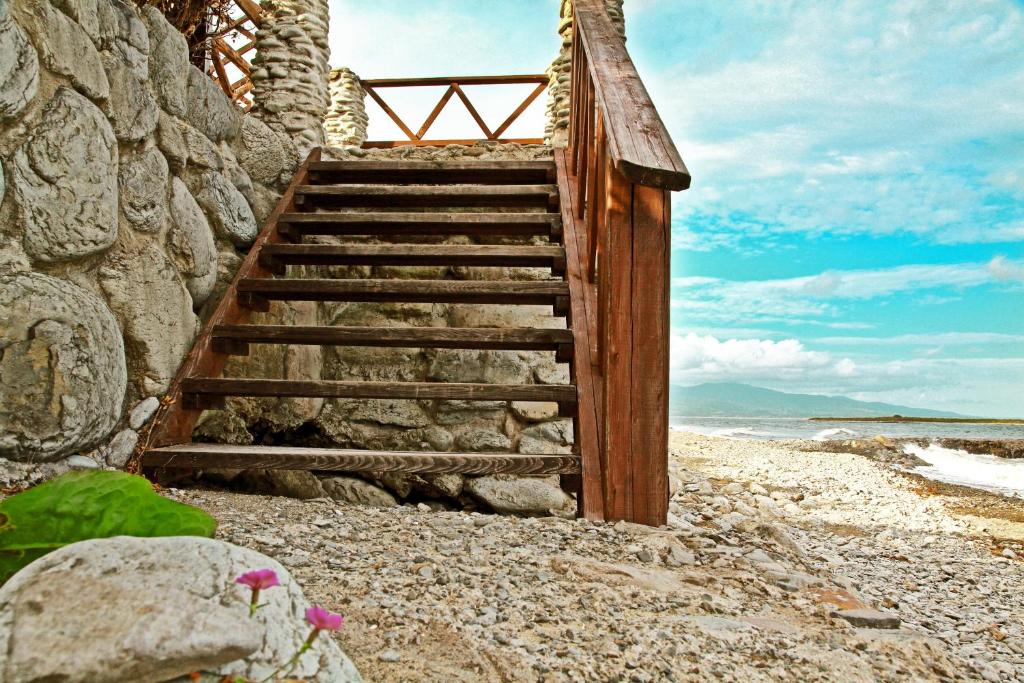 photo6