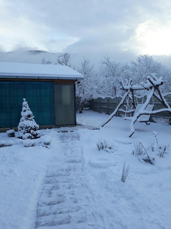 photo6