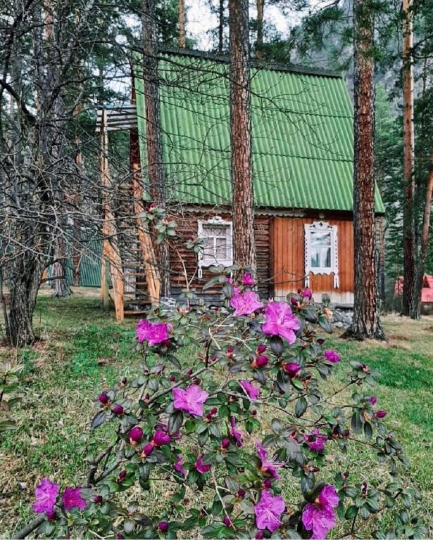 photo2