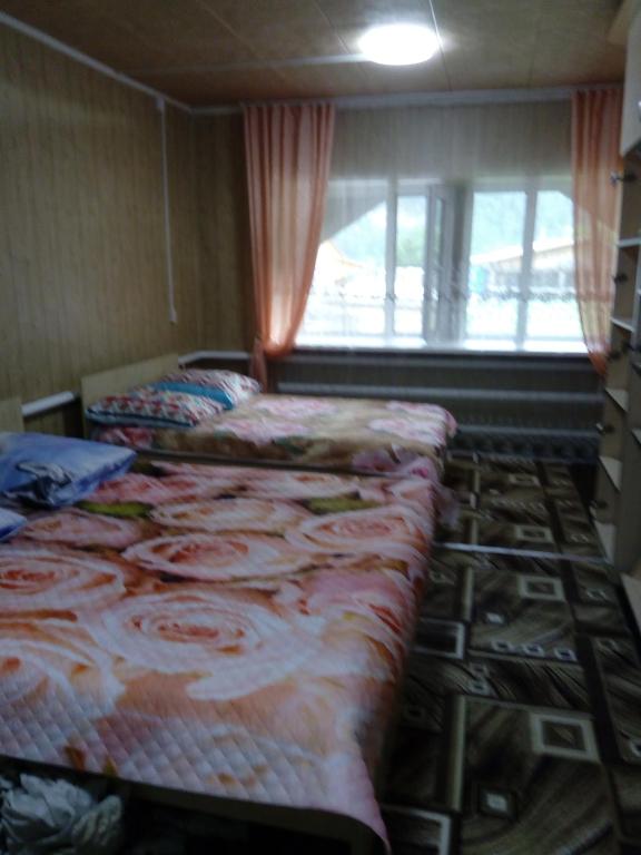 photo1