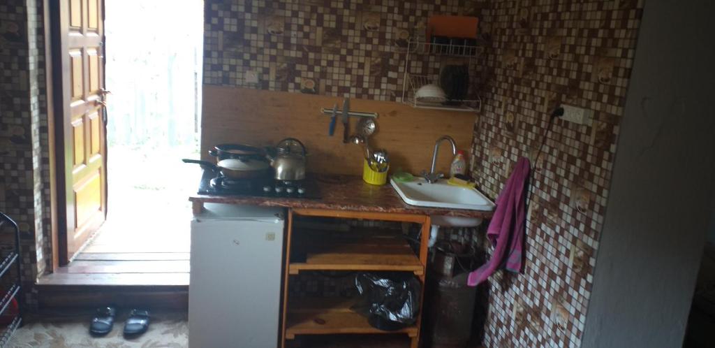 photo2