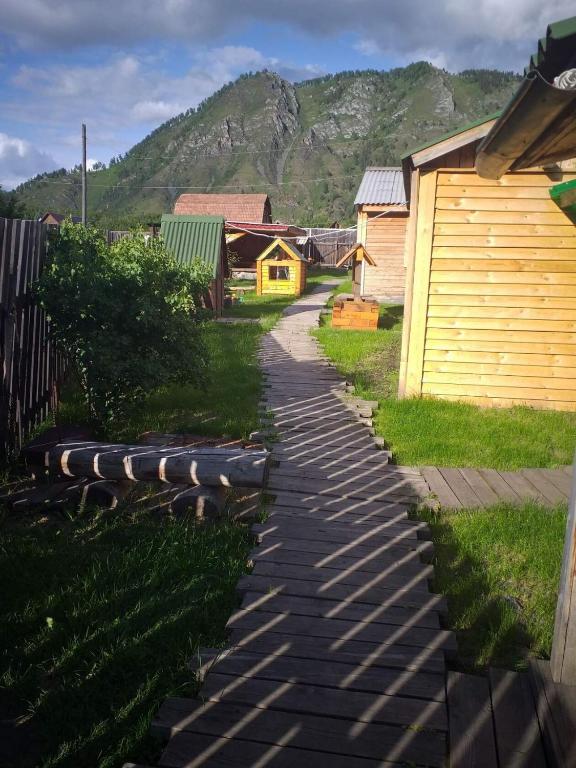 photo6