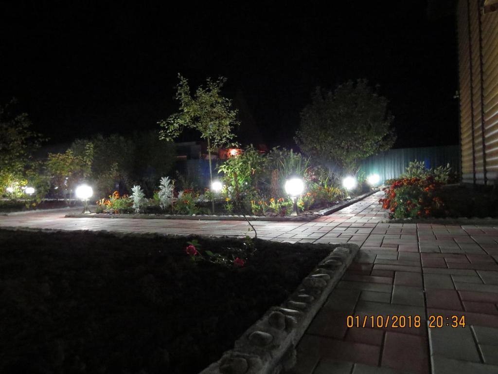 photo5