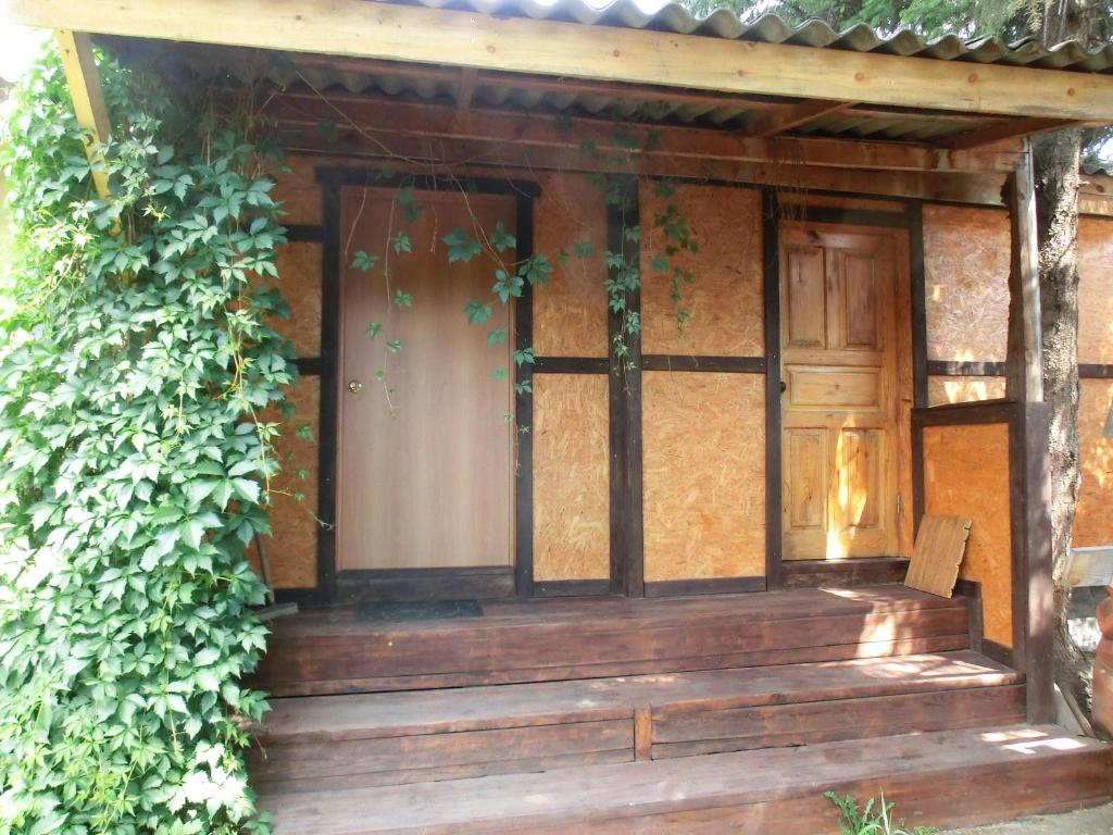 photo1