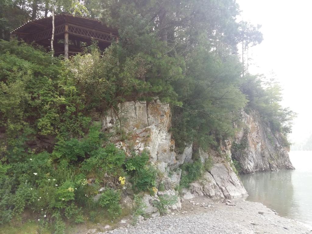photo6