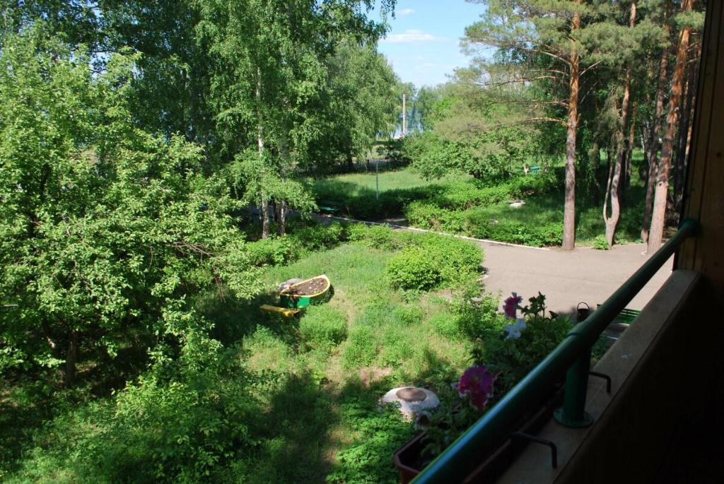 photo6