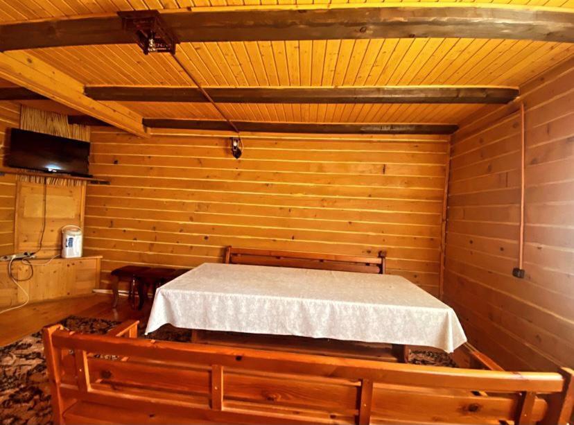 photo6