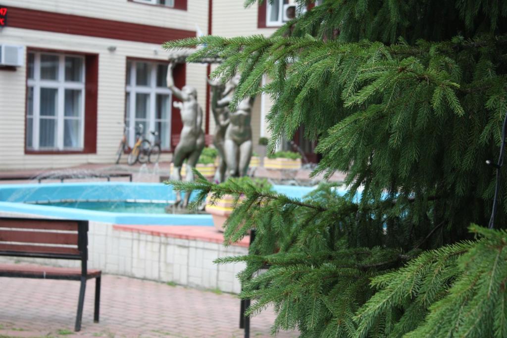 photo6