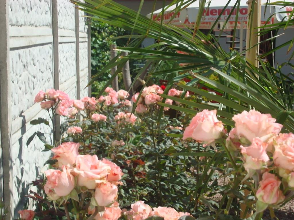 photo5