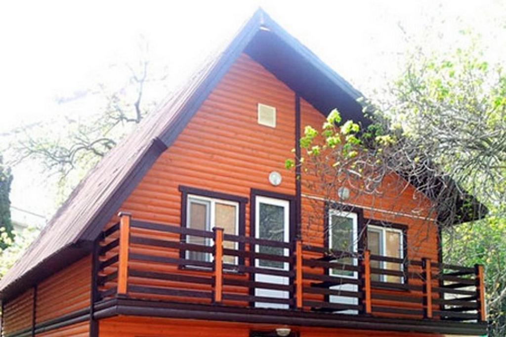 photo2