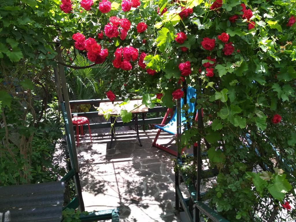 photo3