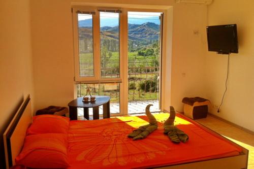 photo1