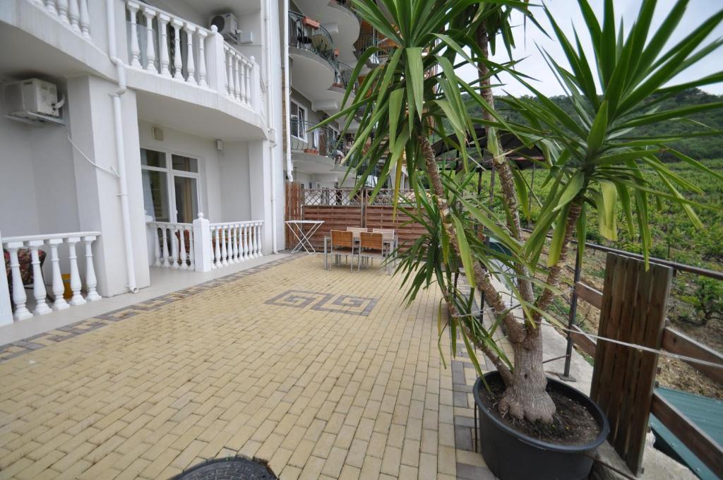 photo3
