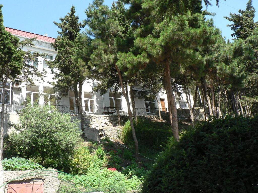 photo5