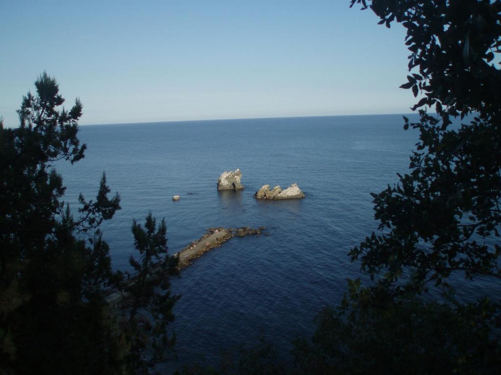photo3