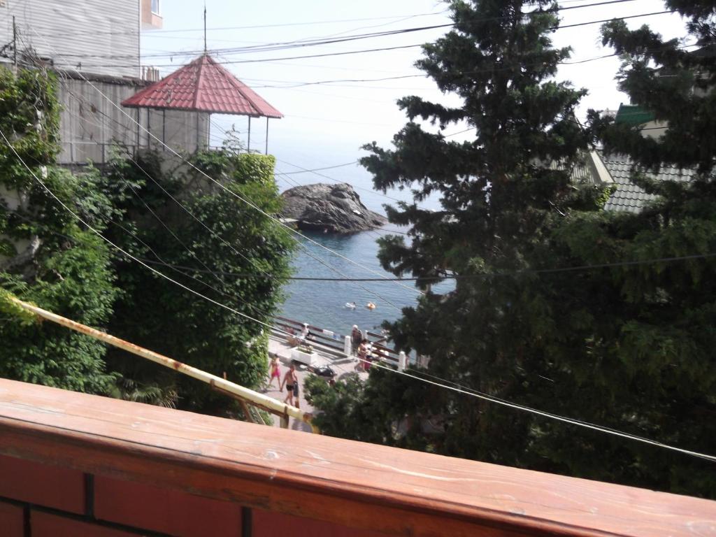 photo1