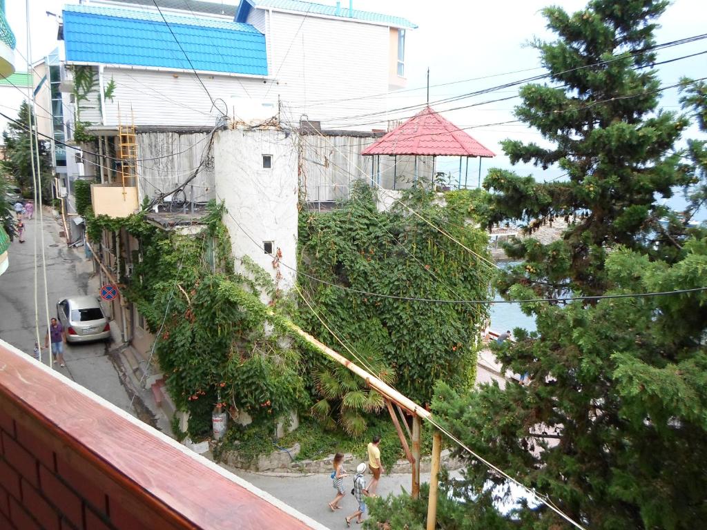 photo6