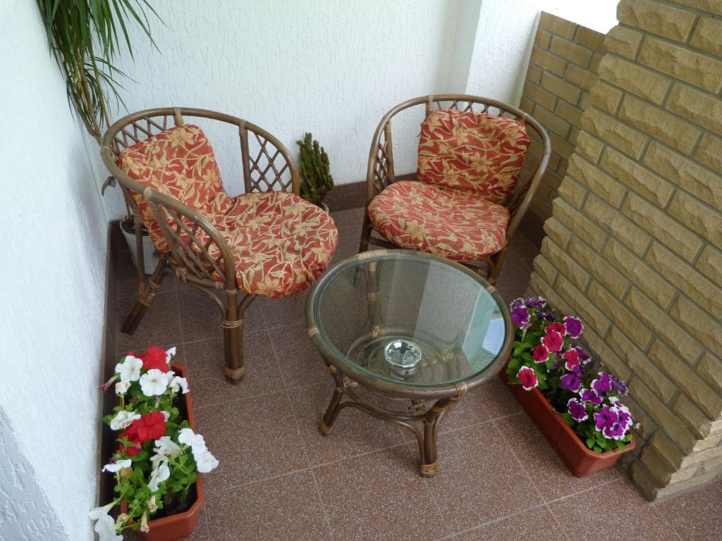 photo5