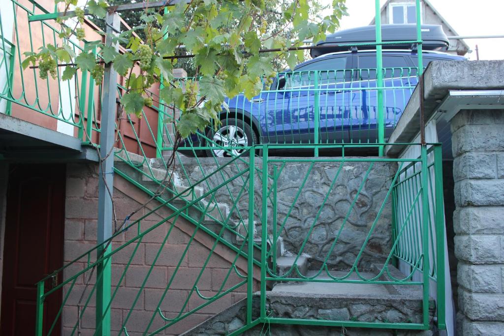 photo6