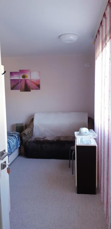 photo5