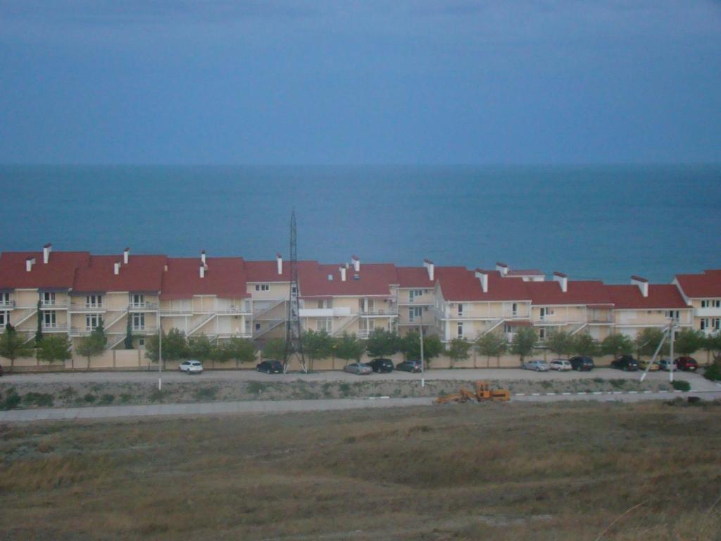 photo5