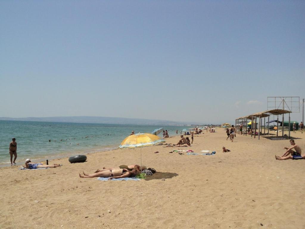 photo6