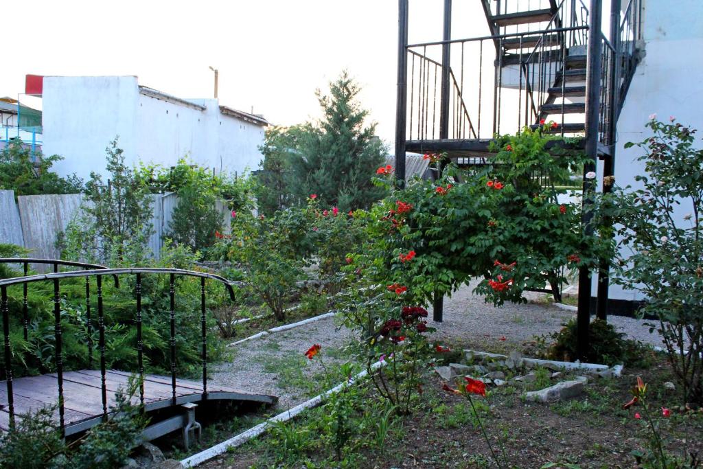 photo5