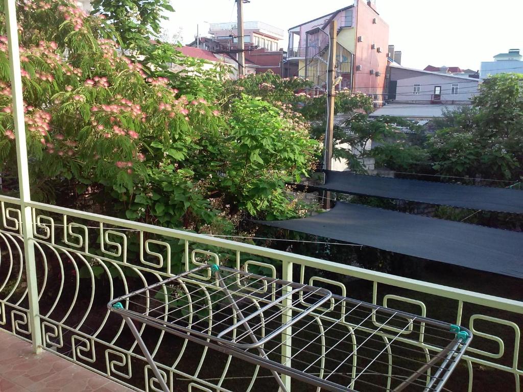 photo6