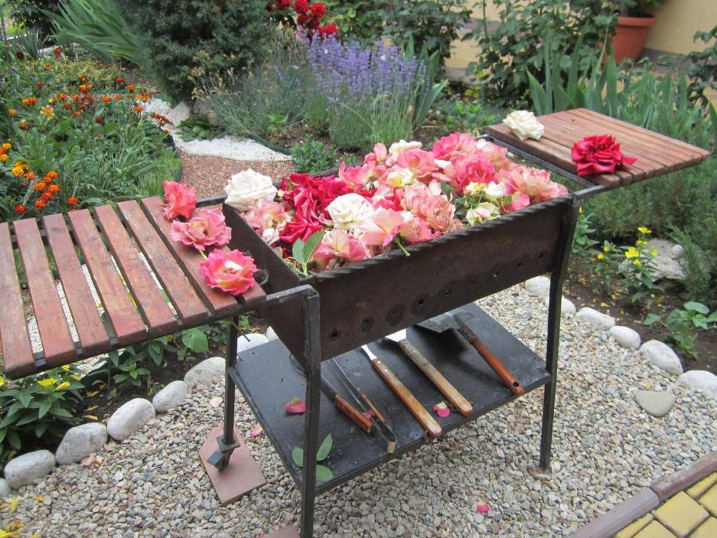 photo2