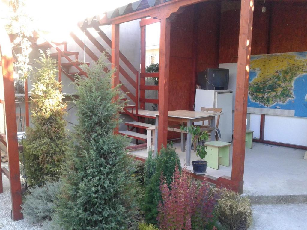 photo1