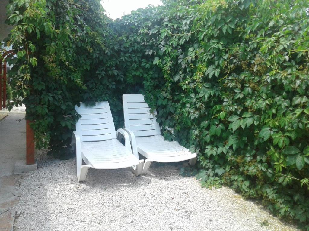 photo6