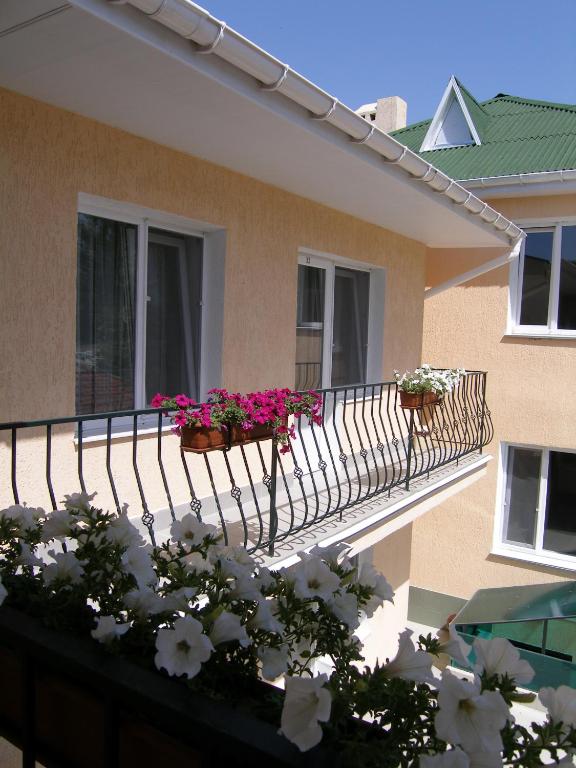 photo6