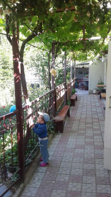 photo1