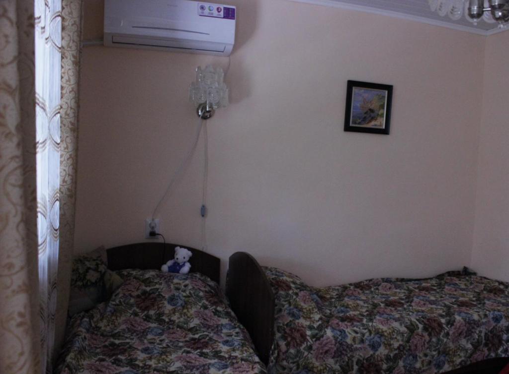 photo6