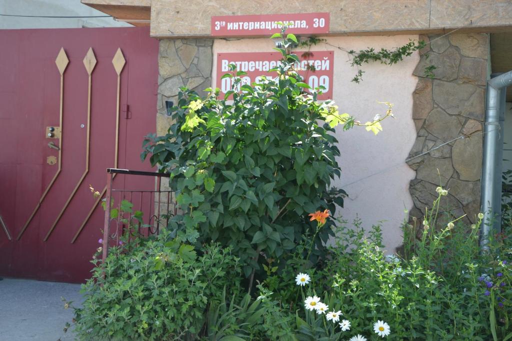 photo1