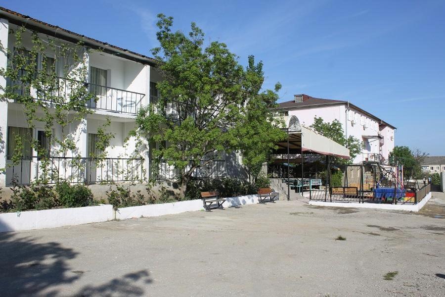 photo5