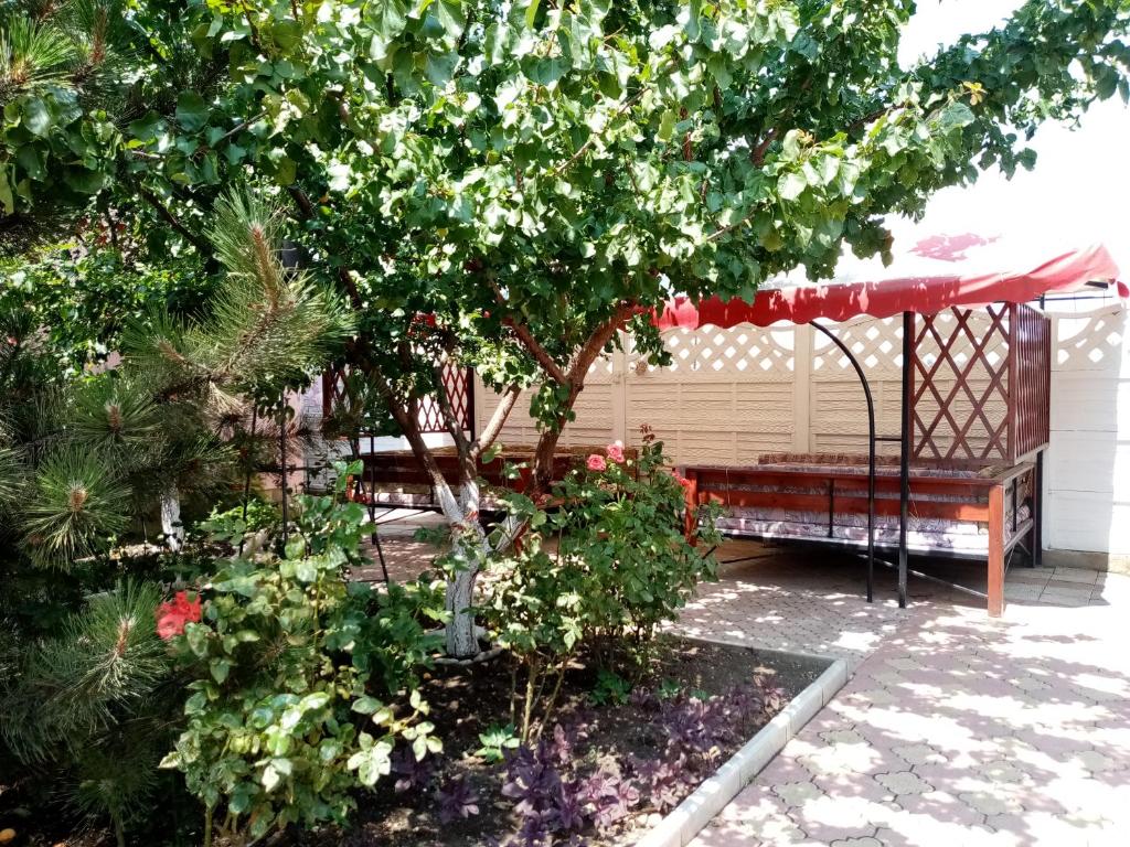 photo2
