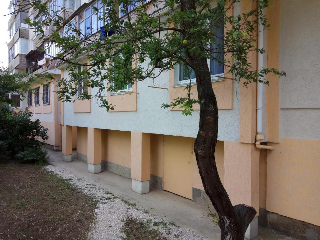 photo5