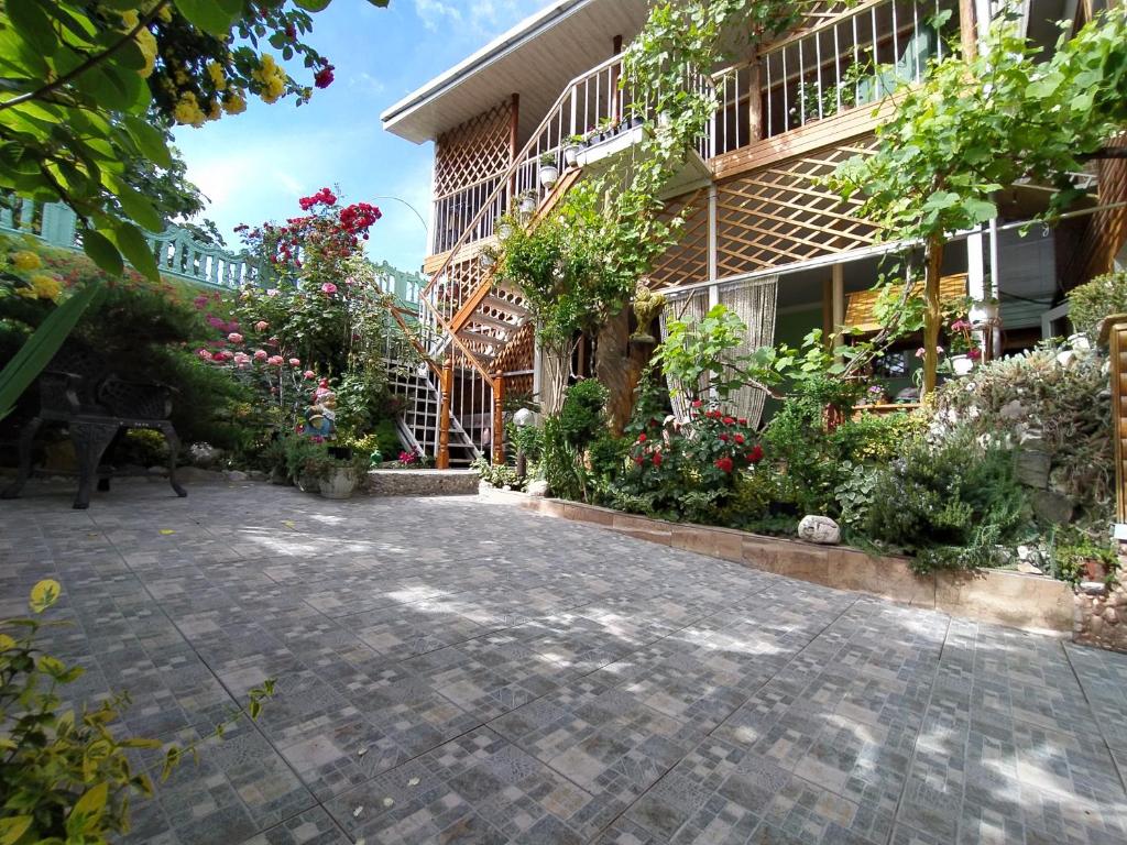 photo6